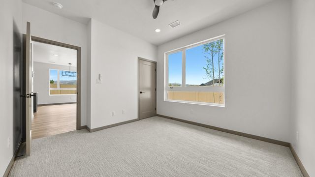 353 Toms Canyon Drive, Fruita, CO 81521
