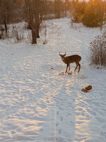 W11213 840th Avenue, River Falls, WI 54022