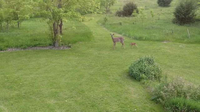 W11213 840th Avenue, River Falls, WI 54022