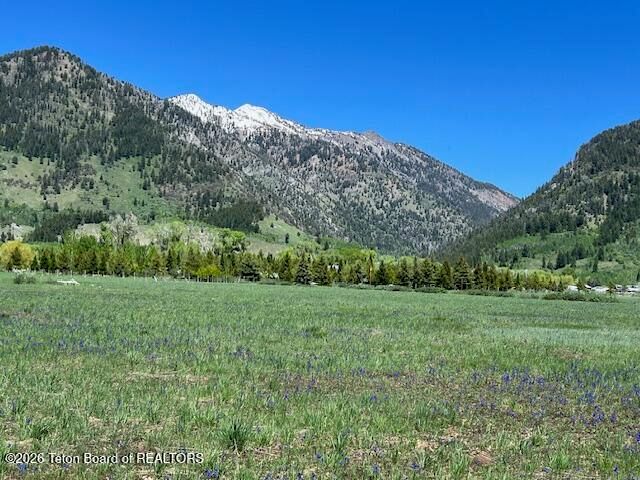 LOT 90 STRAWBERRY CREEK PRIVATE ROAD, Bedford, WY 83112 property photo
