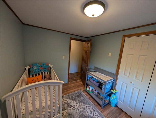 4522 Hall Rd, Moravia, NY 13118