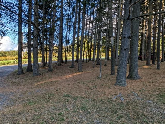 4522 Hall Rd, Moravia, NY 13118