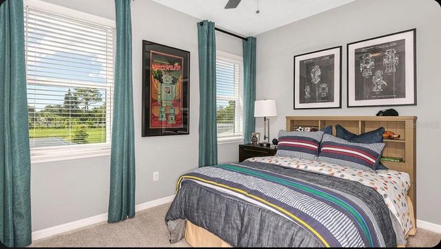 11743 SOFT MEADOWS MEWS, San Antonio, FL 33576