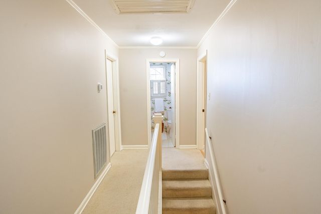 504 Fleetwood Drive, Lookout Mountain, TN 37350