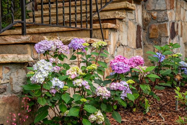 504 Fleetwood Drive, Lookout Mountain, TN 37350