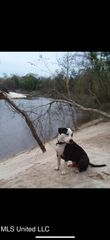 Nhn Mcdonald Rd., Pass Christian, MS 39571