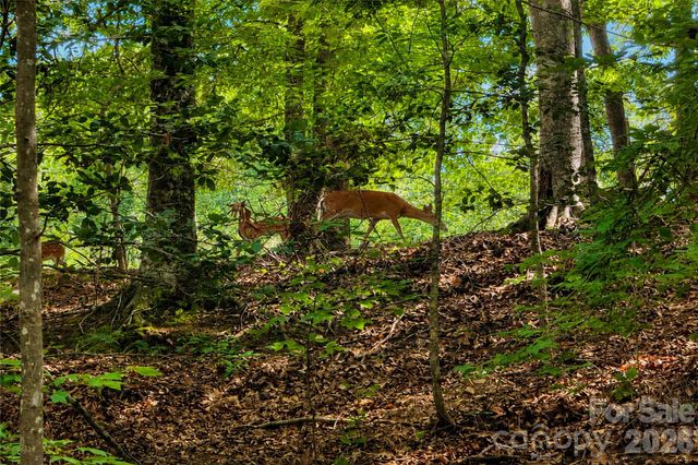 1147 Whispering Winds Drive, Catawba, NC 28609