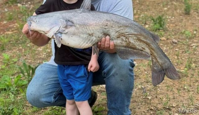 18325 State Route O, Rolla, MO 65401