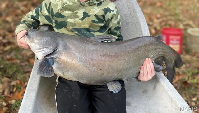 18325 State Route O, Rolla, MO 65401