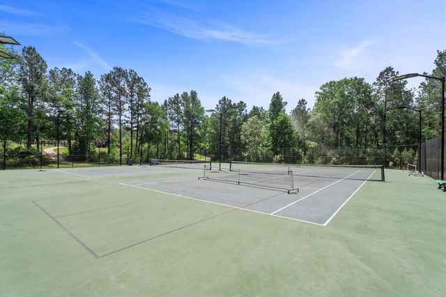 13142 Royal Hill Court, Montgomery, TX 77316