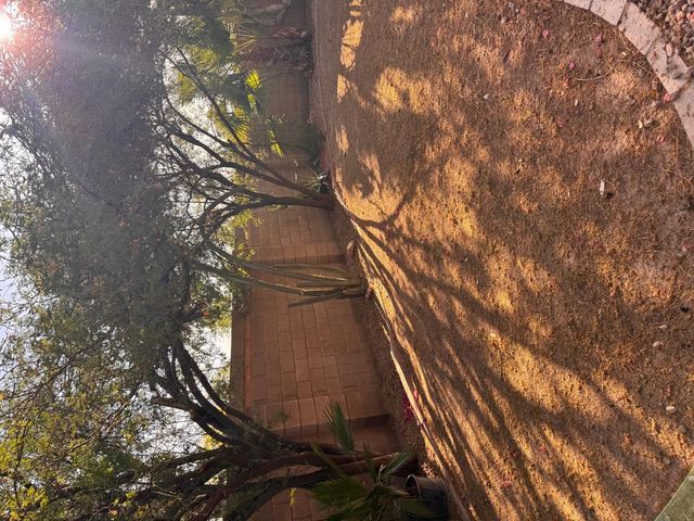 979 E Brentrup Drive, Tempe, AZ 85283