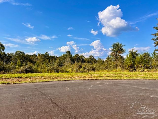 Lot 9 Sounder Dr, Molino, FL 32577