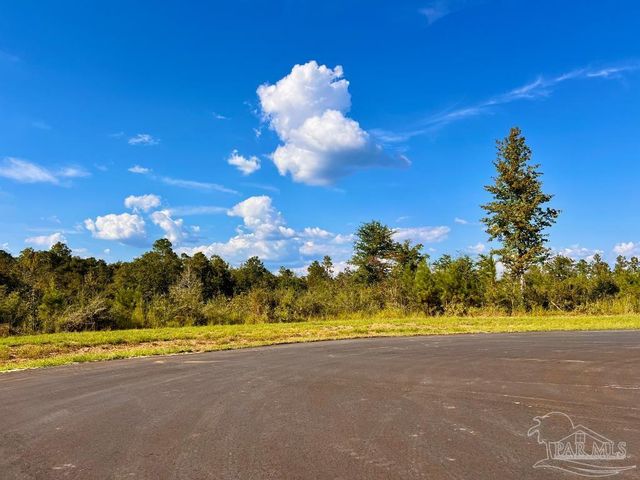 Lot 9 Sounder Dr, Molino, FL 32577