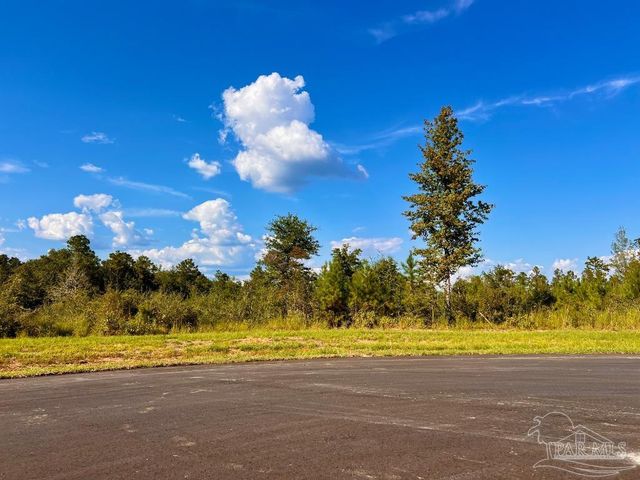 Lot 9 Sounder Dr, Molino, FL 32577