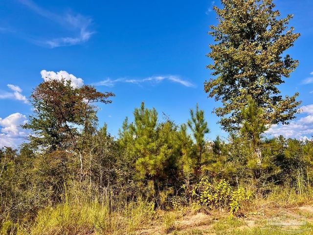 Lot 9 Sounder Dr, Molino, FL 32577