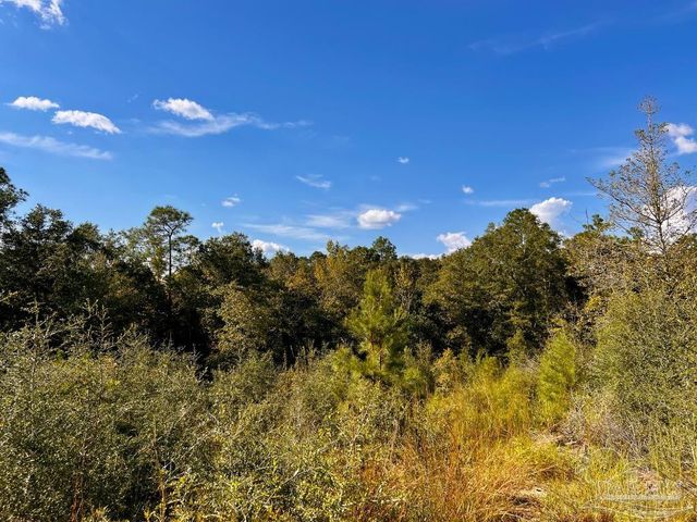 Lot 9 Sounder Dr, Molino, FL 32577