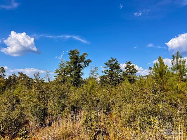 Lot 9 Sounder Dr, Molino, FL 32577