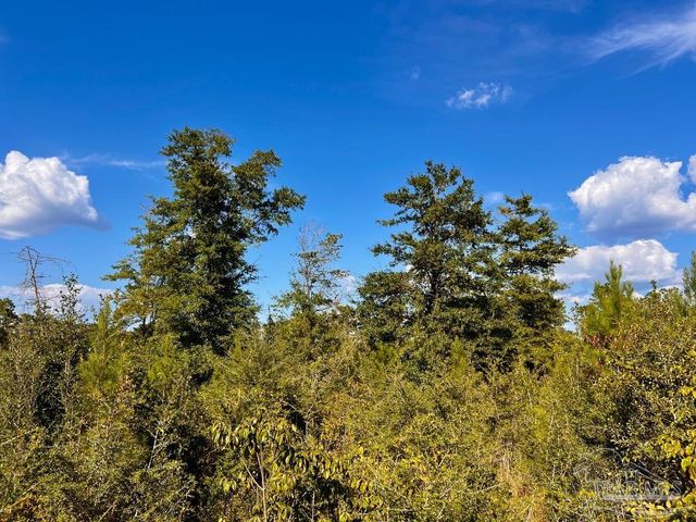 Lot 9 Sounder Dr, Molino, FL 32577