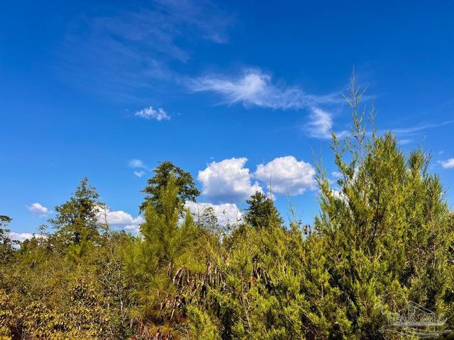 Lot 9 Sounder Dr, Molino, FL 32577