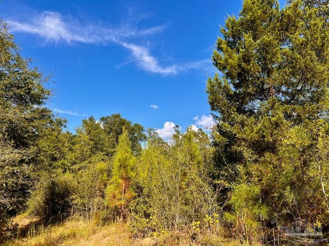 Lot 9 Sounder Dr, Molino, FL 32577