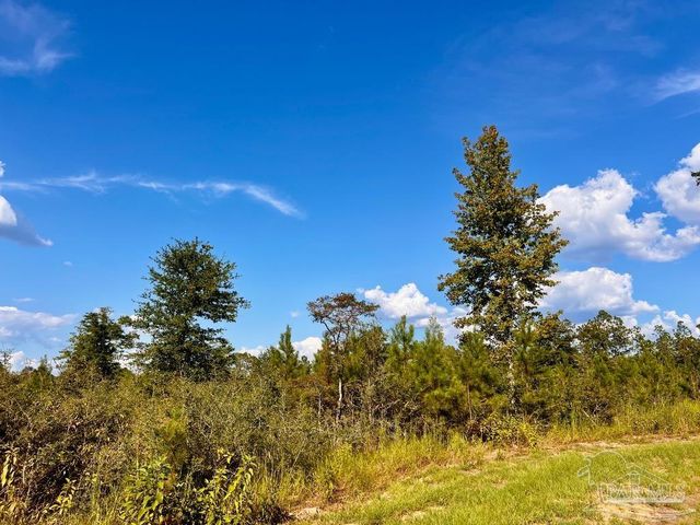 Lot 9 Sounder Dr, Molino, FL 32577