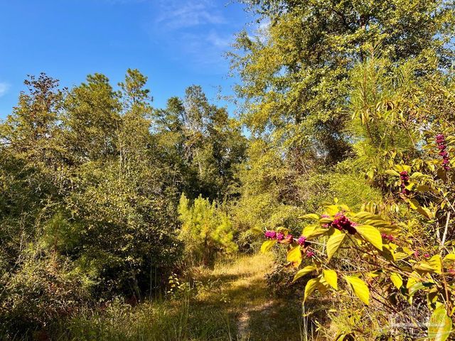 Lot 9 Sounder Dr, Molino, FL 32577