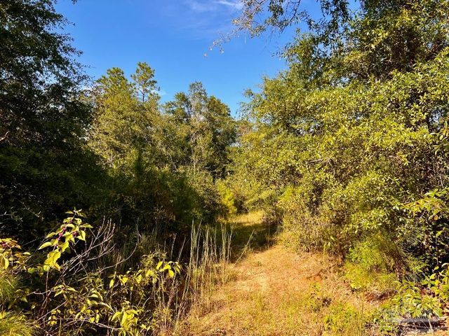 Lot 9 Sounder Dr, Molino, FL 32577