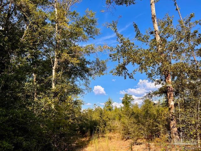 Lot 9 Sounder Dr, Molino, FL 32577