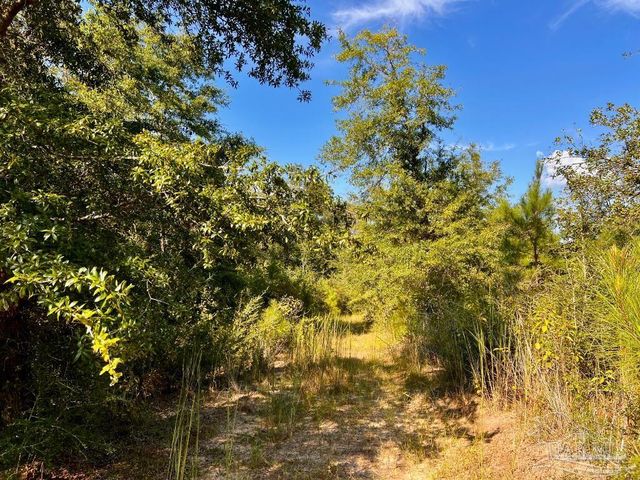 Lot 9 Sounder Dr, Molino, FL 32577