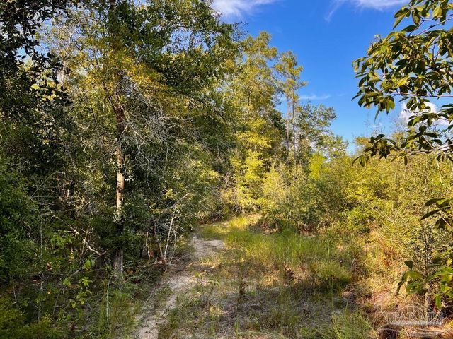 Lot 9 Sounder Dr, Molino, FL 32577