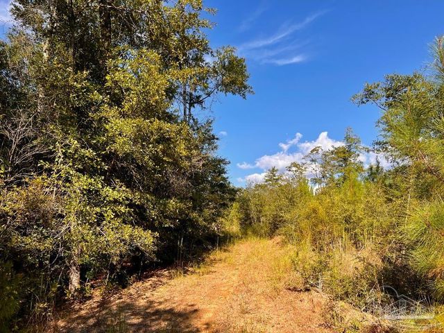 Lot 9 Sounder Dr, Molino, FL 32577