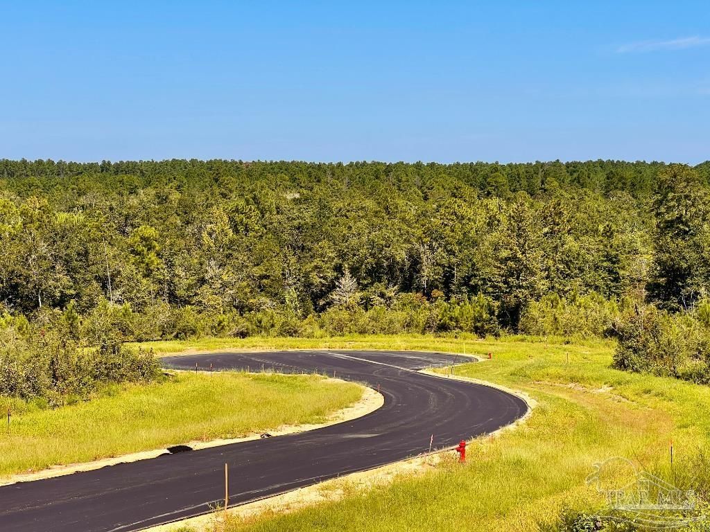 Lot 9 Sounder Dr, Molino, FL 32577
