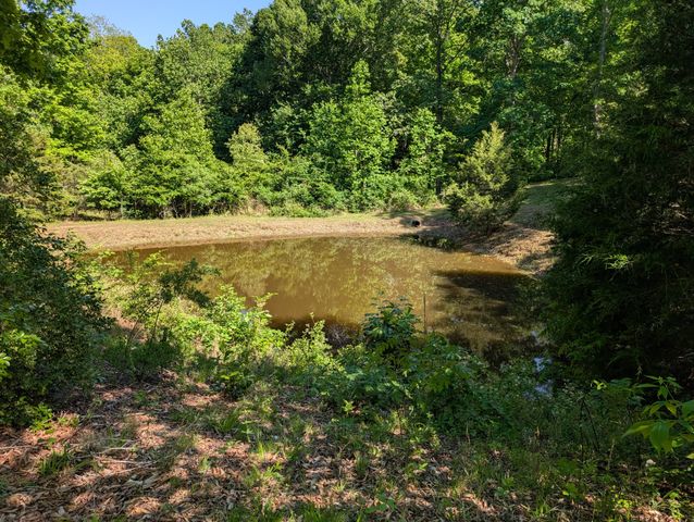 456 Walker Ridge Rd, Big Rock, TN 37023