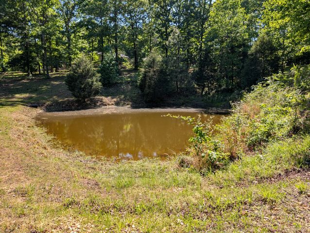 456 Walker Ridge Rd, Big Rock, TN 37023