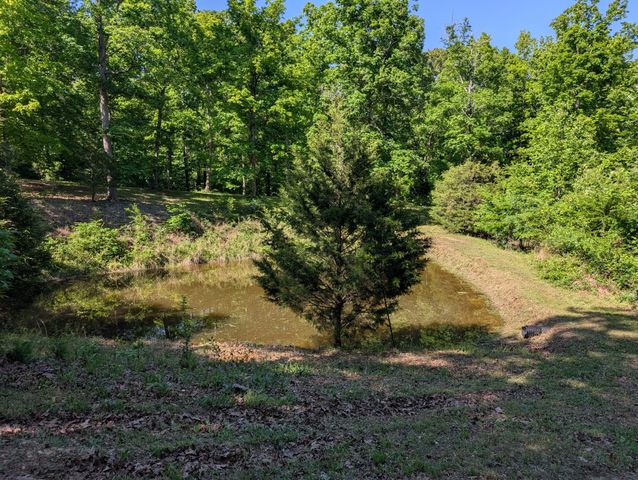 456 Walker Ridge Rd, Big Rock, TN 37023