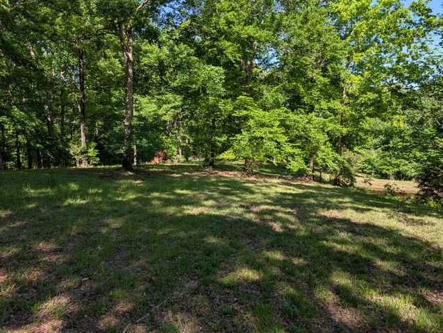 456 Walker Ridge Rd, Big Rock, TN 37023