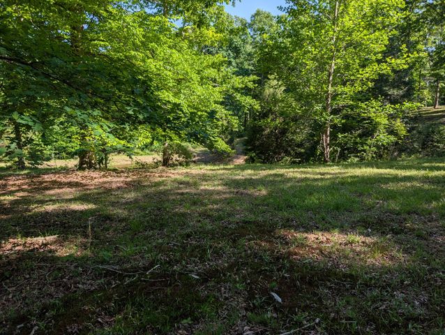 456 Walker Ridge Rd, Big Rock, TN 37023