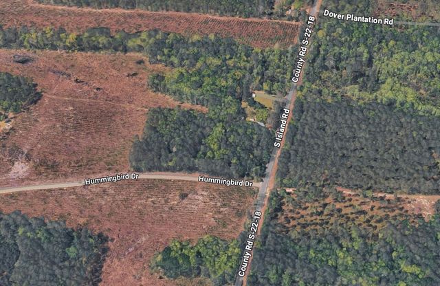 TBD Hummingbird Dr., Georgetown, SC 29440