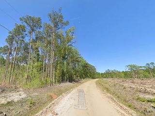 TBD Hummingbird Dr., Georgetown, SC 29440