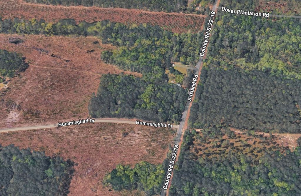 TBD Hummingbird Dr., Georgetown, SC 29440 — photo 4