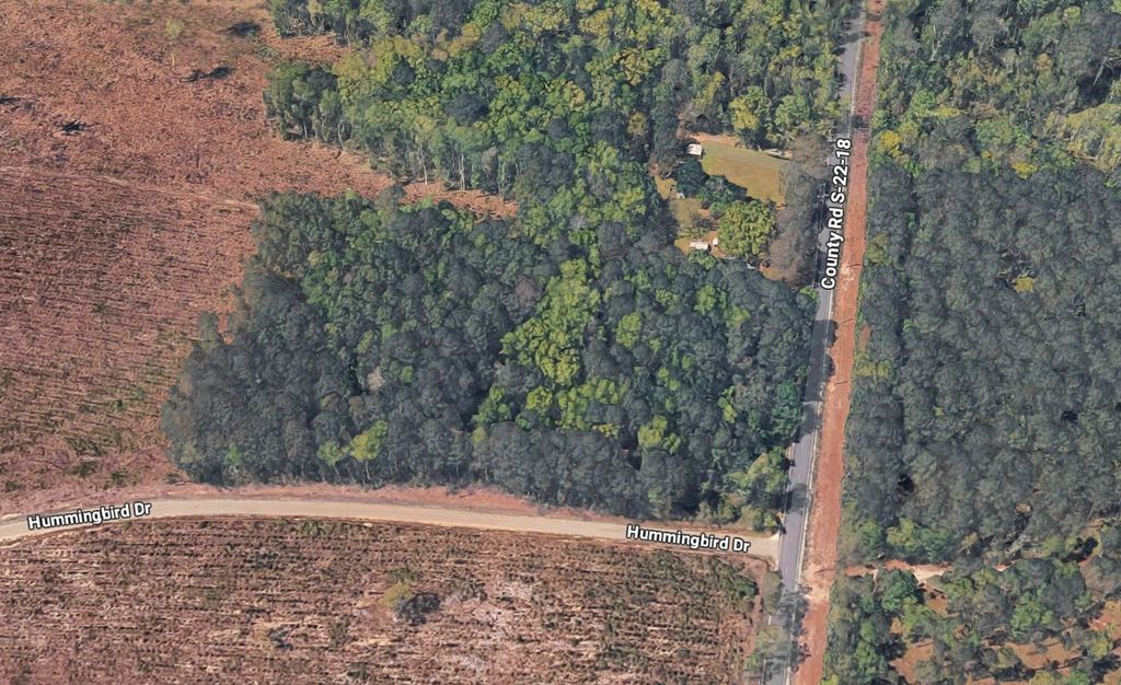 TBD Hummingbird Dr., Georgetown, SC 29440 — photo 5