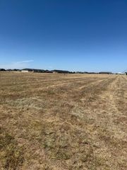 14160 FM 2590, Amarillo, TX 79119