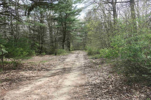 6480 W Lake Shore, Remus, MI 49340