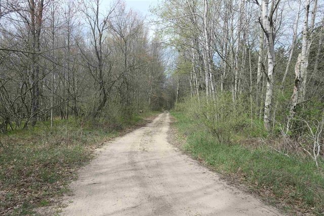 6480 W Lake Shore, Remus, MI 49340