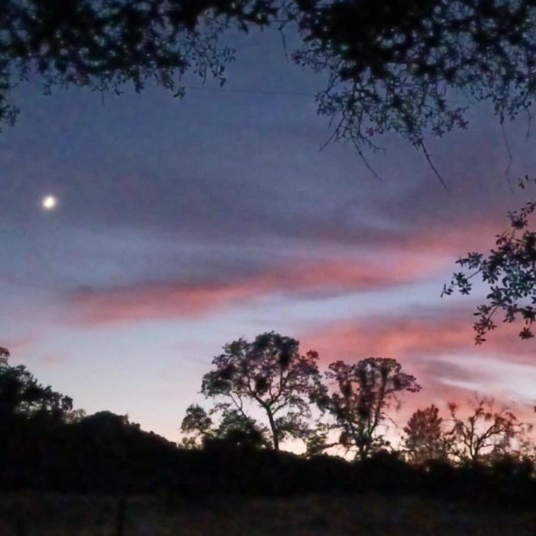 Image 11 of property listing at 33831 Medford Road, Auberry, CA 93602