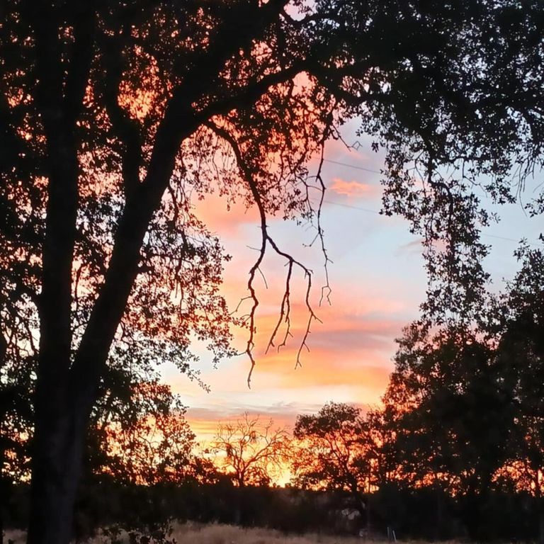 Image 12 of property listing at 33831 Medford Road, Auberry, CA 93602