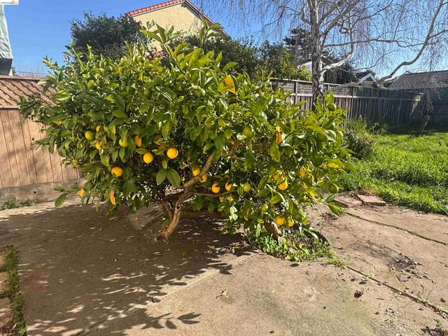 1266 Washington Ave, Albany, CA 94706