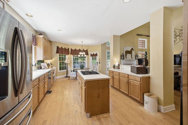 568 Brixham Park Dr, Franklin, TN 37069