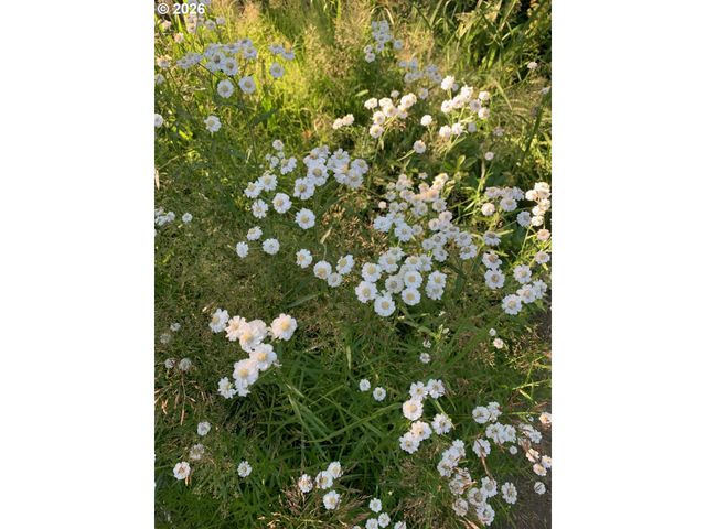 1506 Sw SPRING GARDEN St, Portland, OR 97219