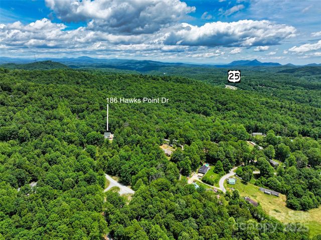 186 Hawks Point Drive, Zirconia, NC 28790